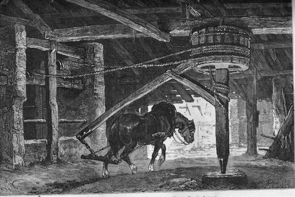 Baritel à cheval, gravure ancienne.